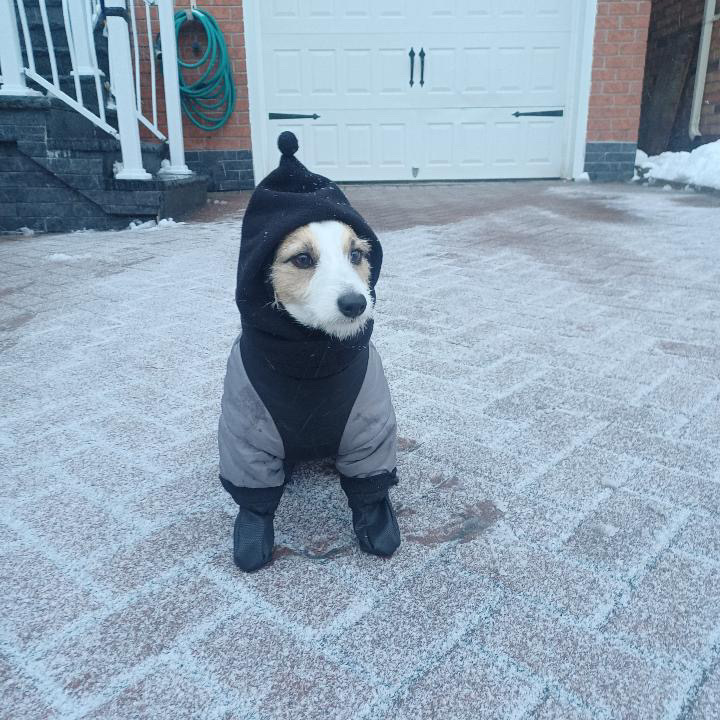 Mimi in a snowsuit and boots standing on a snowy driveway